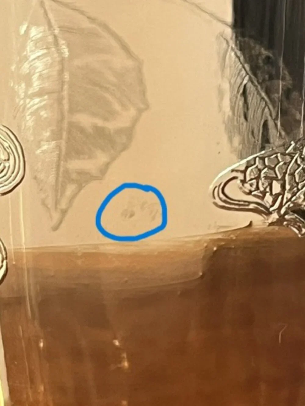 Cambridge Amber Etched Glass #717 Bird & Butterfly 13